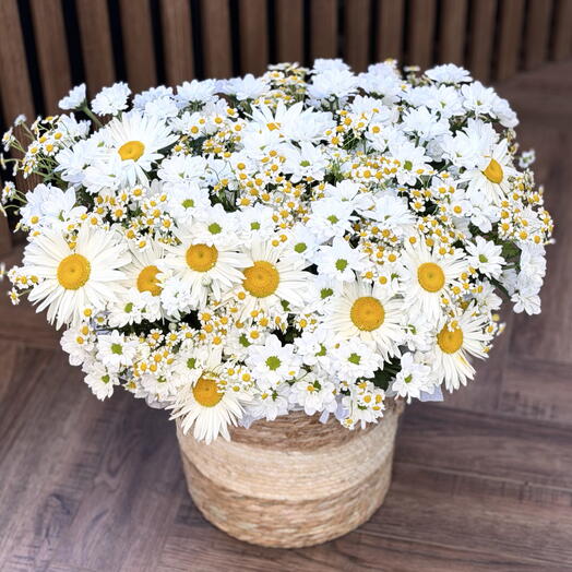 Большая корзина с ромашками