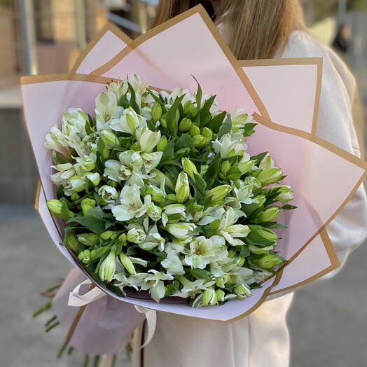 25 белых альстромерий