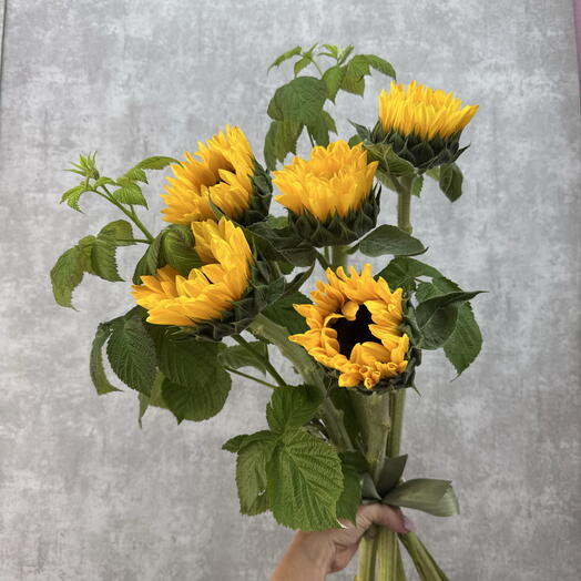 Подсолнухи с малиной 🤩 для девушки 😍
