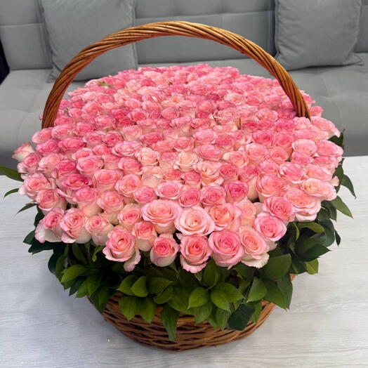 🌷 Maison Rose