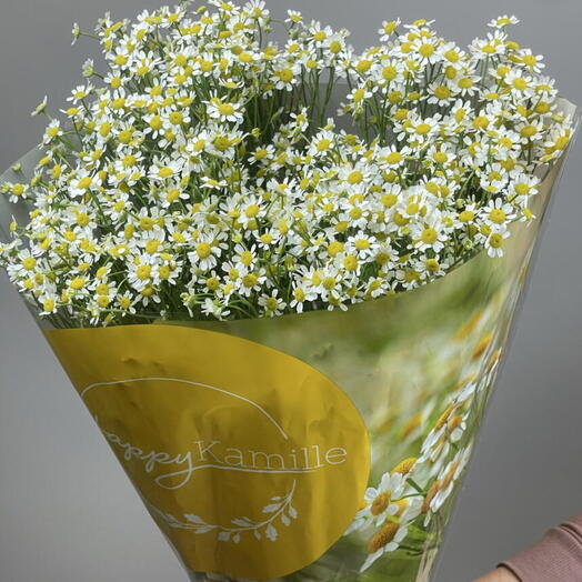 Пачка матрикария (15шт)
