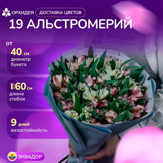 Букет 19 Альстромерий микс