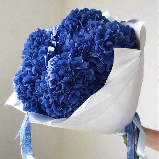 «Океан» 
Синие гортензии 💙