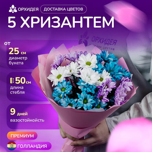 5 хризантем микс краш
