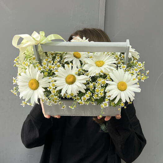 Поле ромашек в деревянном ящике 💚
