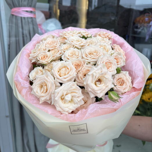 Antonina roses