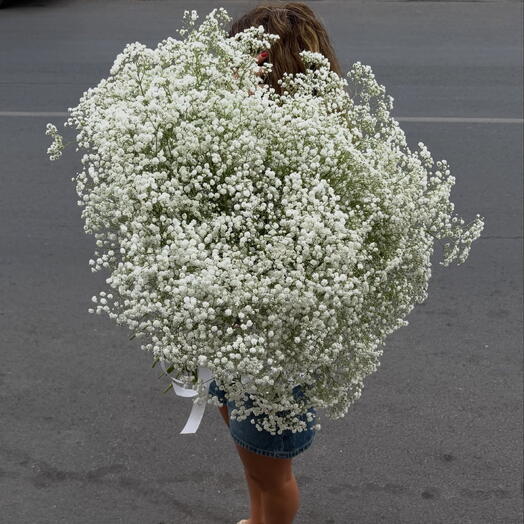 Охапка белой гипсофилы
