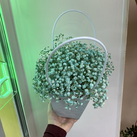 Сумочка с гипсофилой