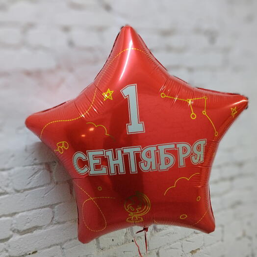 Воздушный шар к 1 сентября