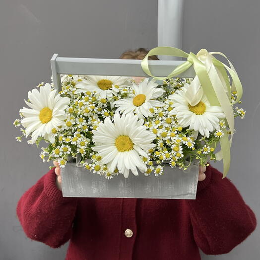 Полевые ромашки в ящике 🌼