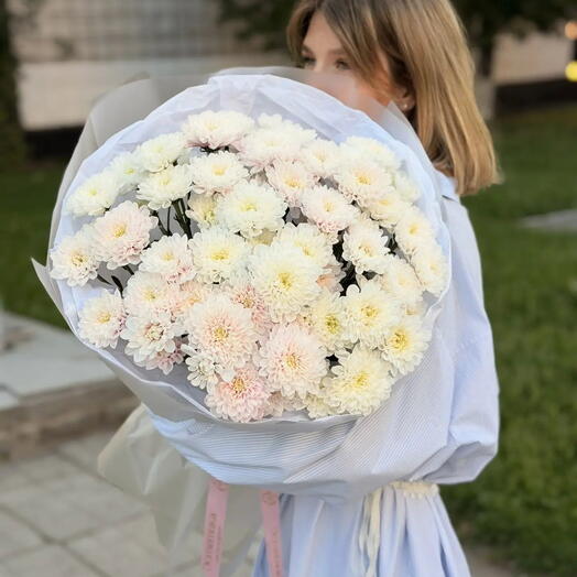 Облачко шикарных хризантем