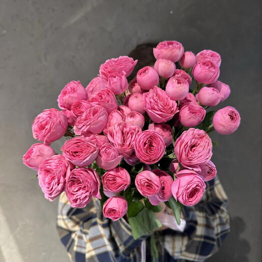 Роза кустовая 💗