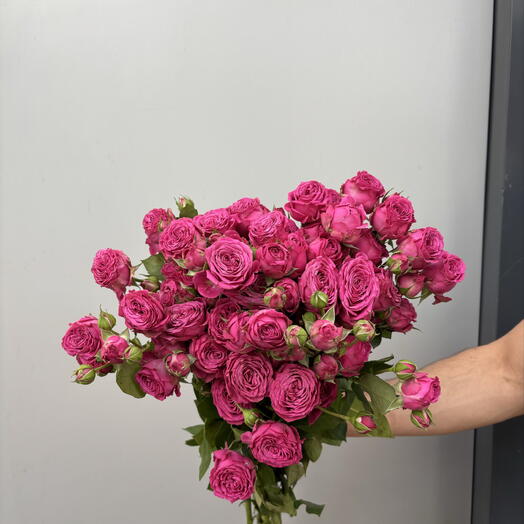 Кустовая Роза малиновая 💕