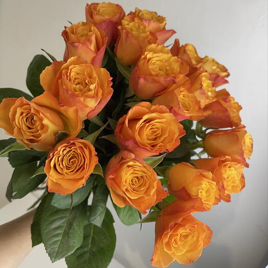 Розы рыжие 🧡19