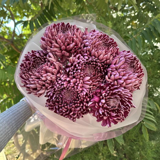 ❗️АКЦИЯ❗️Букет из хризантемы сорта Бигуди 💜🍂 + сладкий подарок от флориста