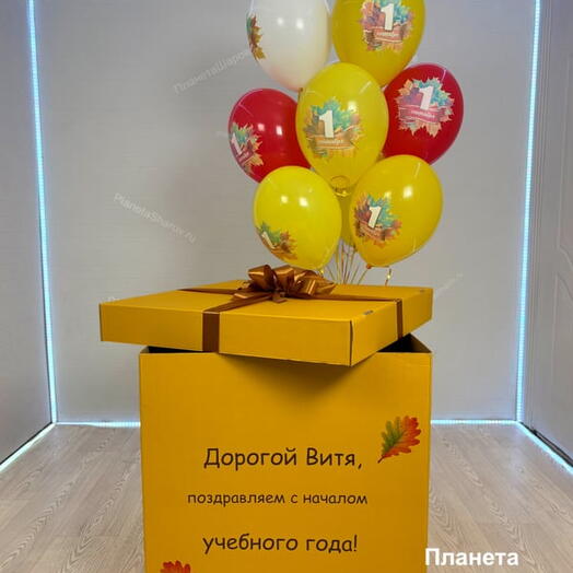 Коробка с шарами на 1 сентября