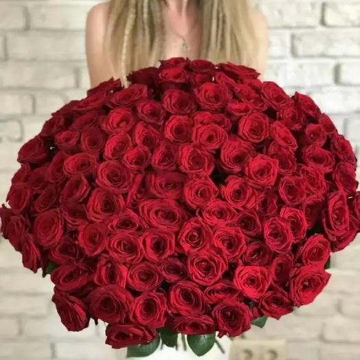 Monobook de 101 rosas rojas