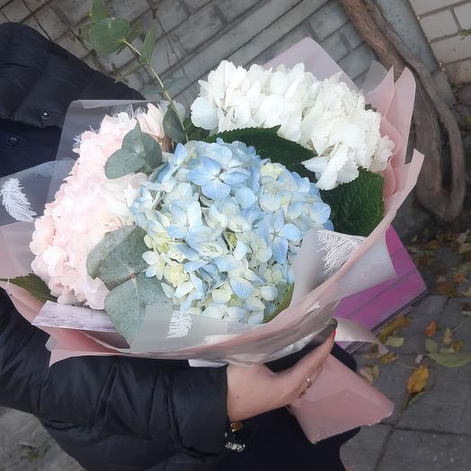 Mezcla De Hortensias