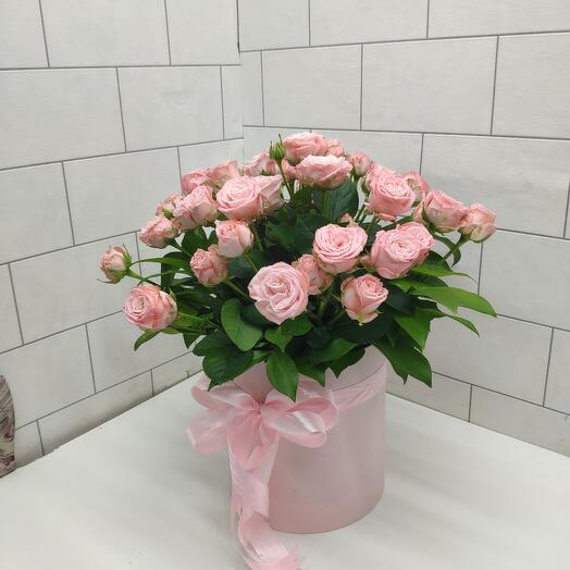 Bush rose peony-shaped