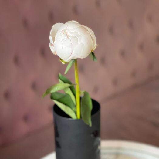 Peony crem boul
