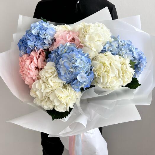 Гортензия 🌸😍