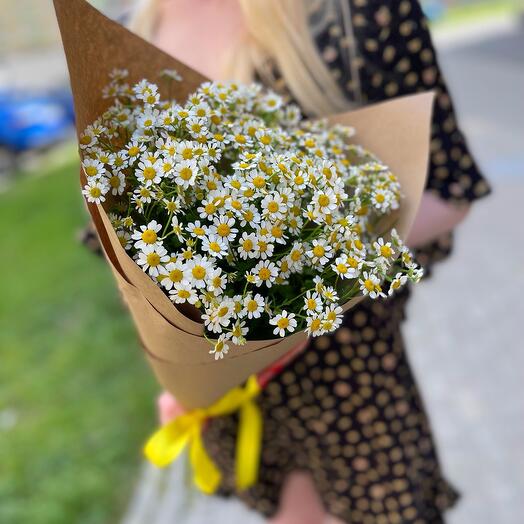 Ромашки