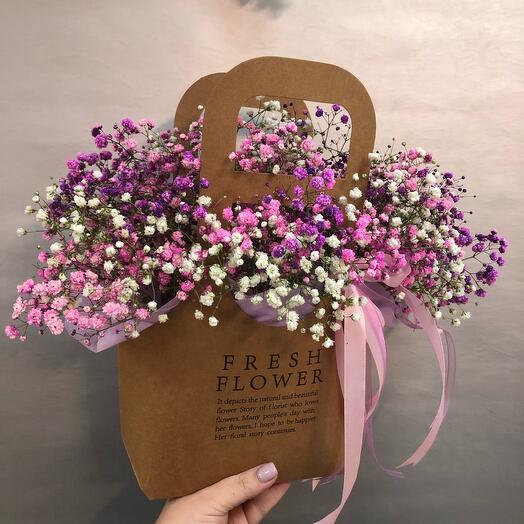 Воздушная гипсофила