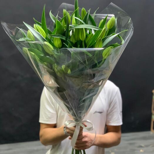 Lily 9