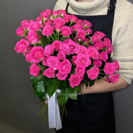 Rosas arbustivas