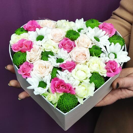 Купить цветы в новороссийске адреса где купить редкие семена цветов