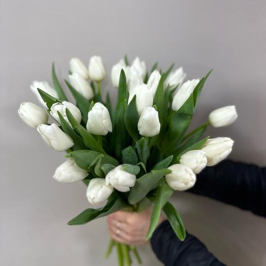 25 белых тюльпанов