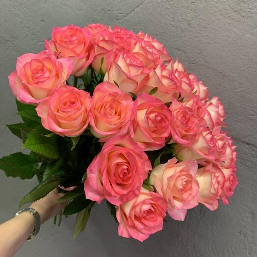 25 rosas Rosadas