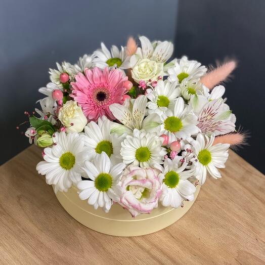 Комплимент