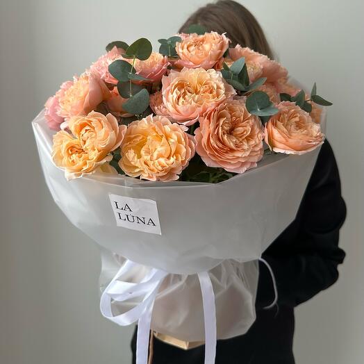 Rosas arbustivas en forma de peonía Juliette 9