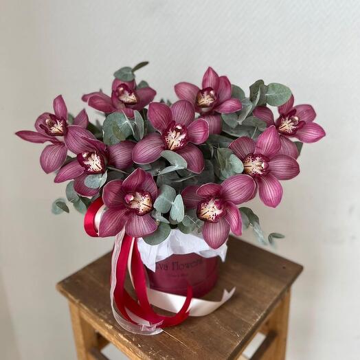 Burgundy orchids in a box