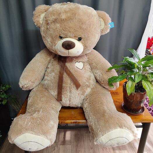 Oso gigante