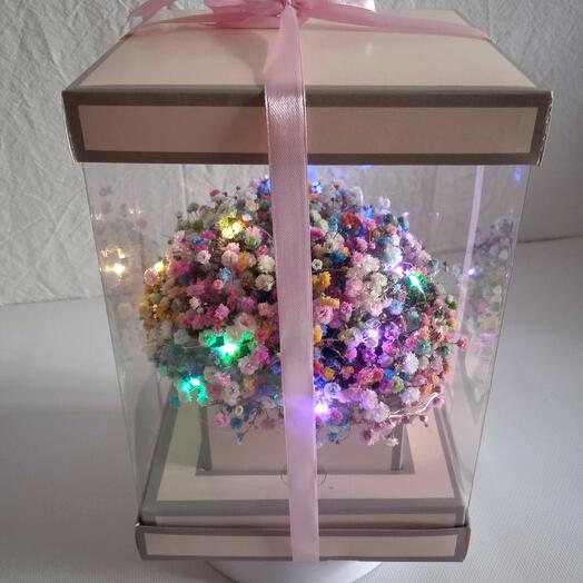 Ramo luminoso gypsophila Arcoíris en Caja de regalo 16x26