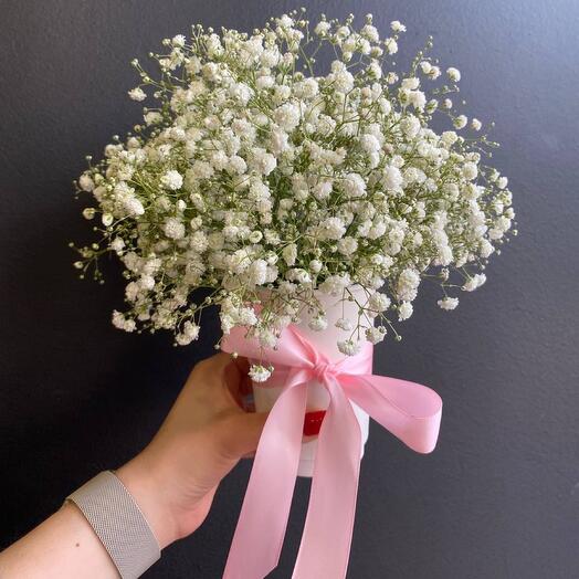 A compliment from gypsophila