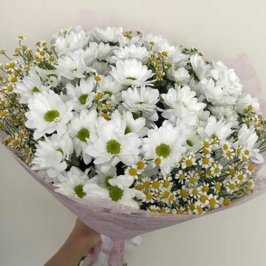 Daisies
