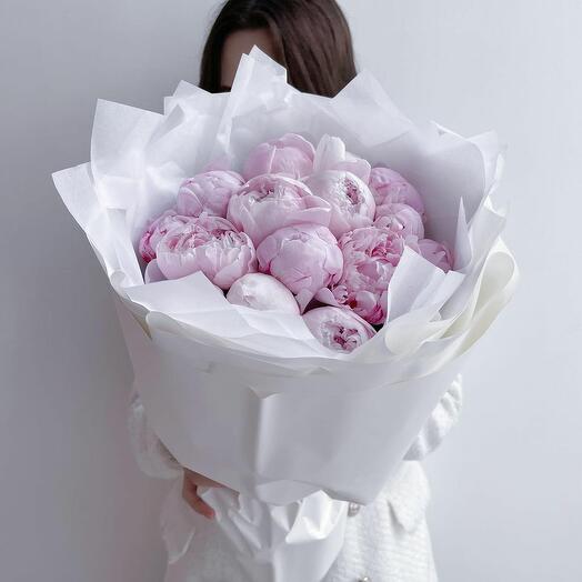 Peonías rosa