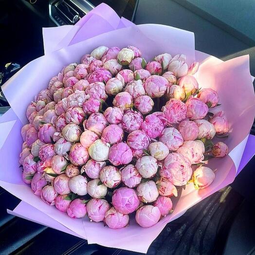 101 peony premium