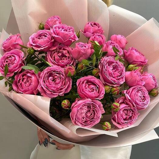 Bushy peony-shaped roses "Misty bubbles"