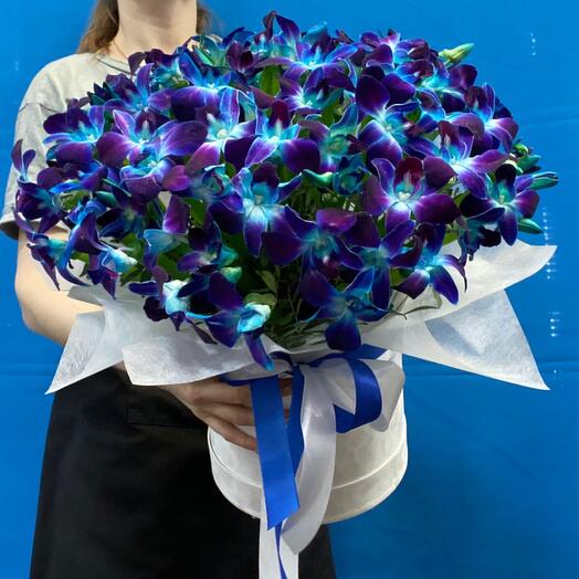 Орхидеи в коробке 💙Звездное небо 💙