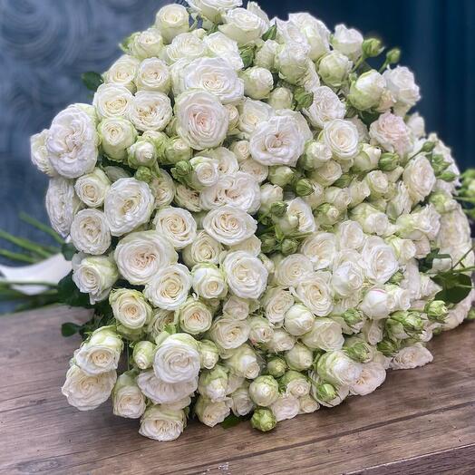 Розы кустовые