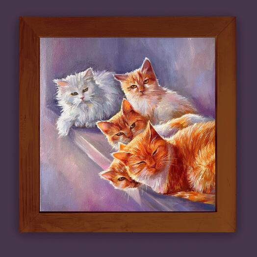 Котики