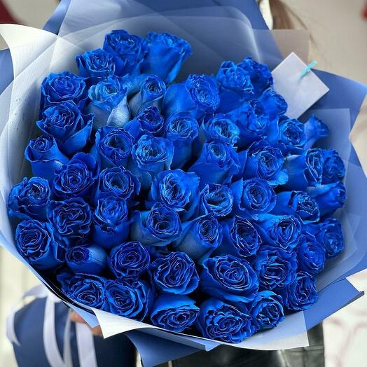 Blue Rose