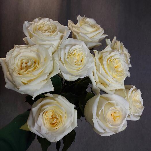 Пионовидная роза  9 шт