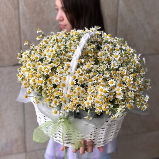 КОРЗИНА АРОМАТНЫХ РОМАШЕК