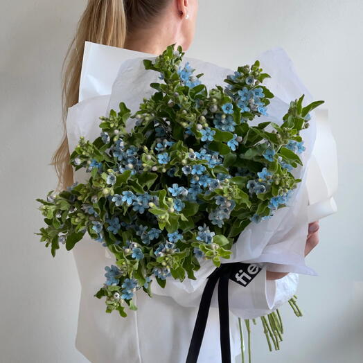 FORGET-ME-NOT букет из 15 восхитительных незабудок