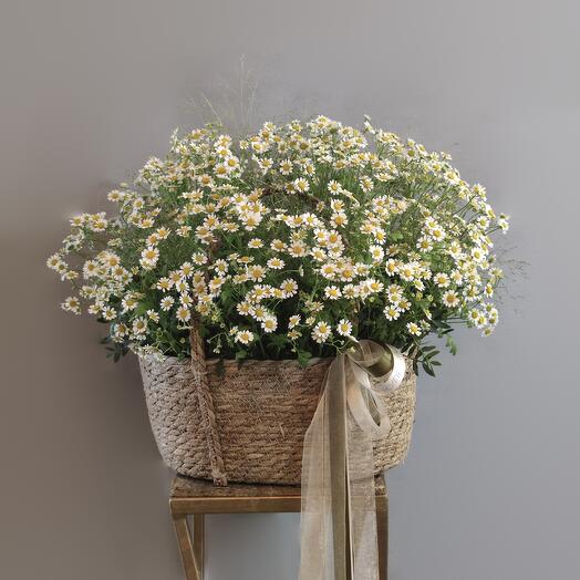 Корзина с ромашками